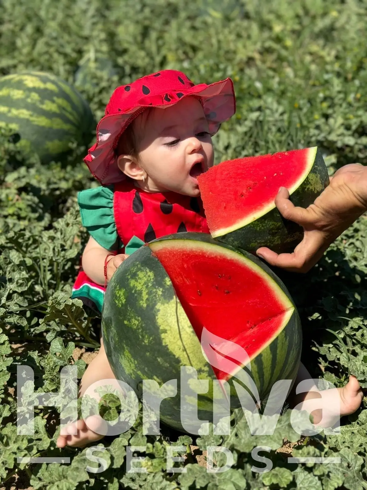 3a2a552a-06e5-4b5f-b278-d76c285628bc