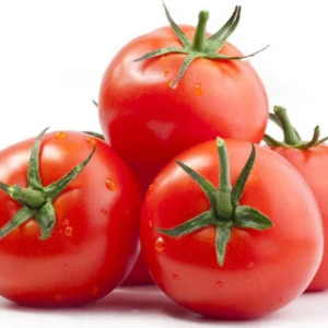 Tomato