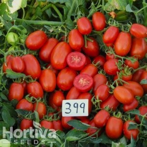 HVS-399 F1