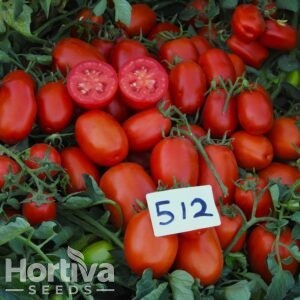 HVS-512 F1