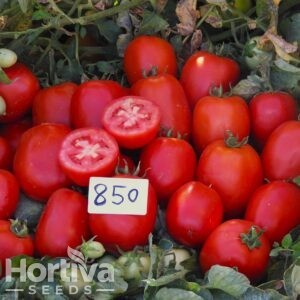 HVS-850 F1