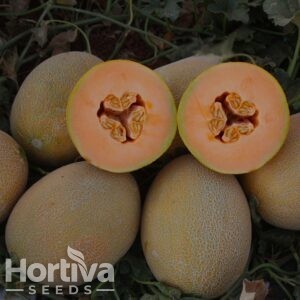 HVS-1188 F1